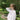 Spill It! With Emily Lunstroth from Edith Hour